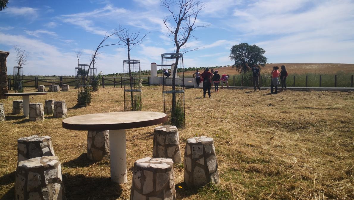 Fotos: X ‘Vive la Trashumancia’ (II)