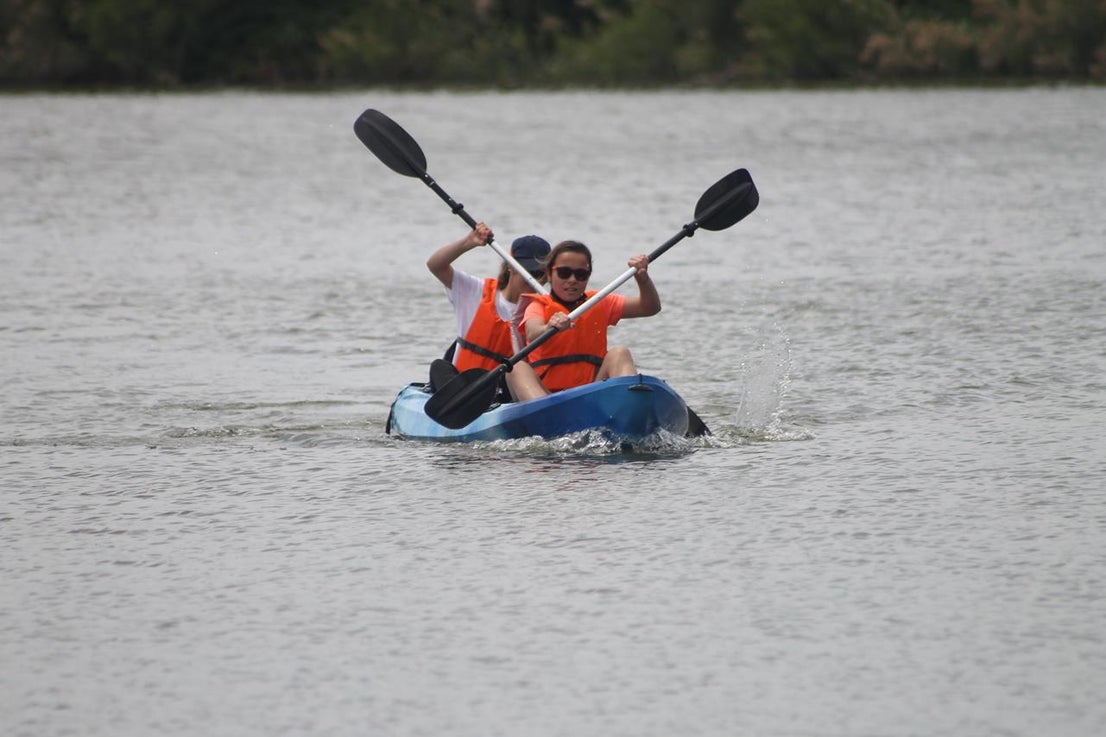 Fotos: X ‘Vive la Trashumancia’ (II)