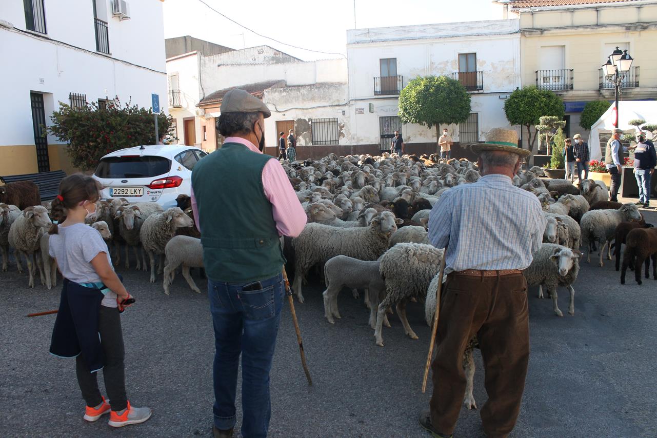 Fotos: X ‘Vive la Trashumancia’ (III)