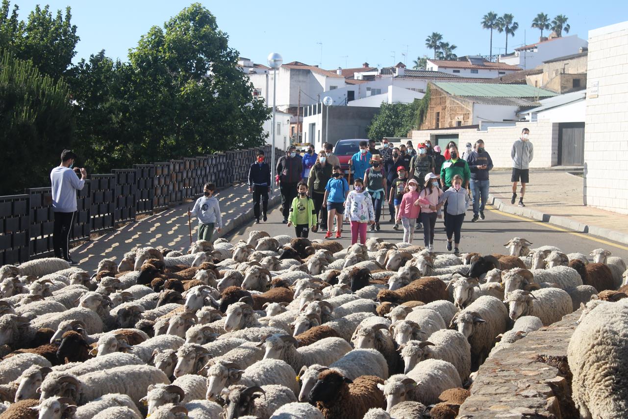 Fotos: X ‘Vive la Trashumancia’ (III)