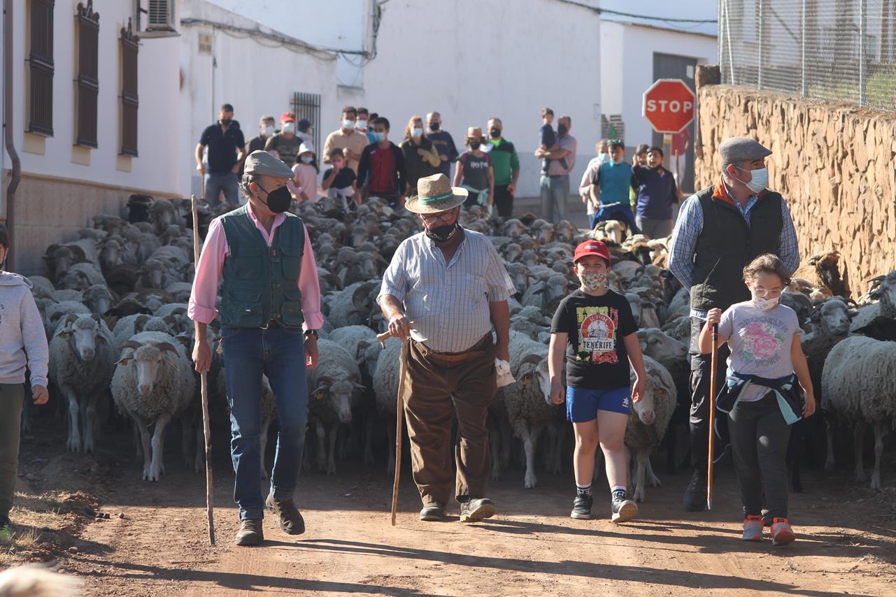 Fotos: X ‘Vive la Trashumancia’ (III)