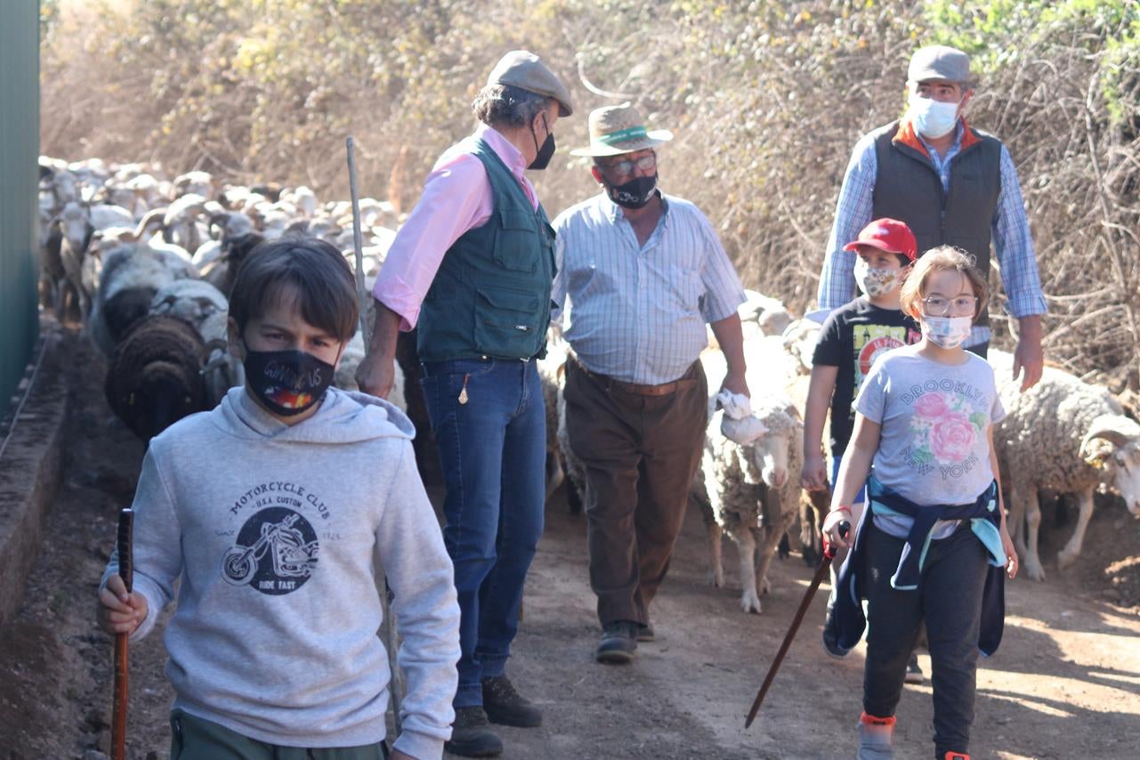 Fotos: X ‘Vive la Trashumancia’ (III)