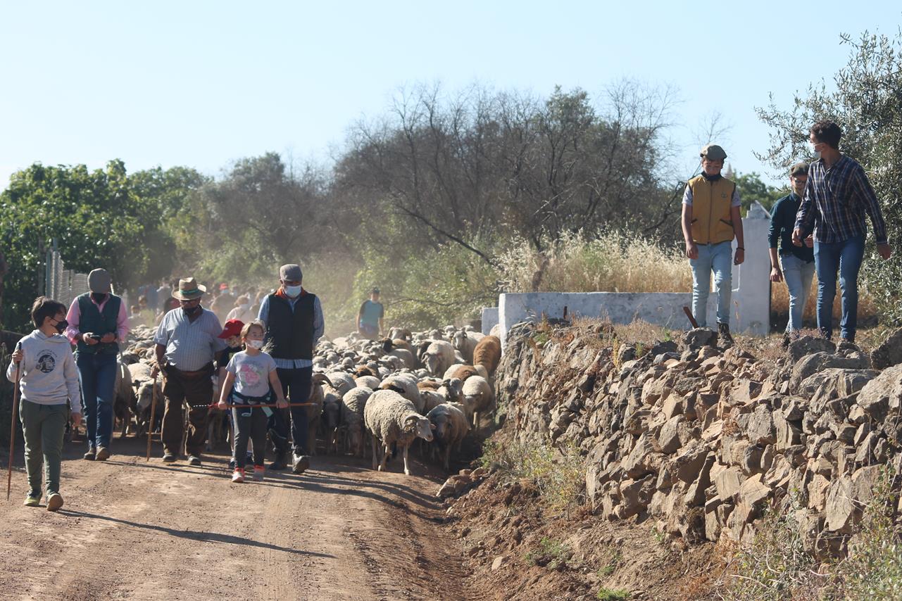 Fotos: X ‘Vive la Trashumancia’ (III)