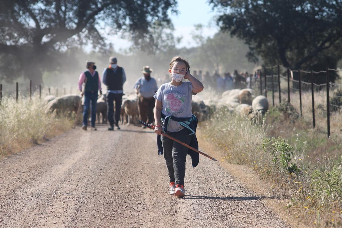 Fotos: X ‘Vive la Trashumancia’ (IV)