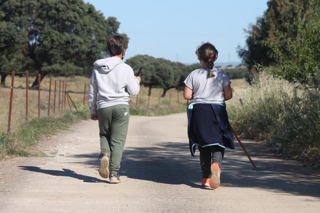 Fotos: X ‘Vive la Trashumancia’ (IV)