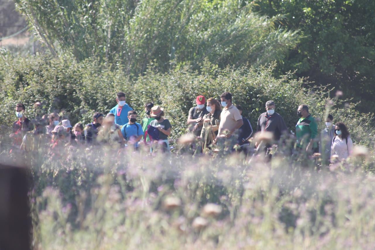 Fotos: X ‘Vive la Trashumancia’ (IV)