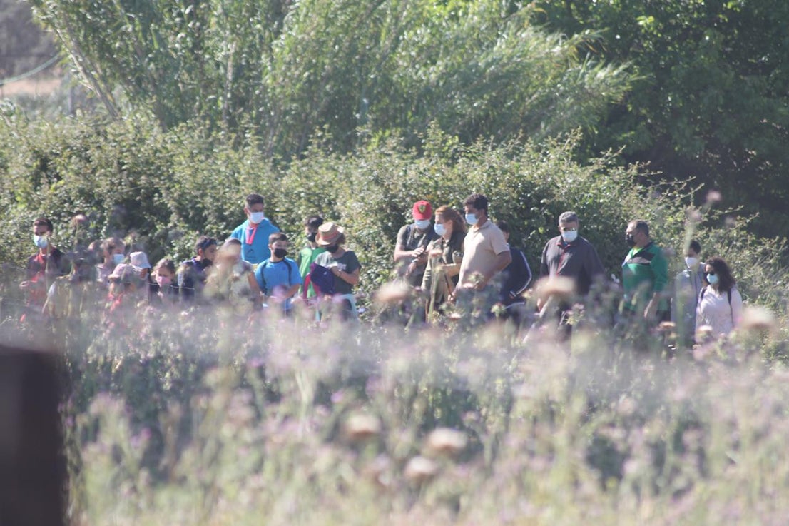 Fotos: X ‘Vive la Trashumancia’ (IV)