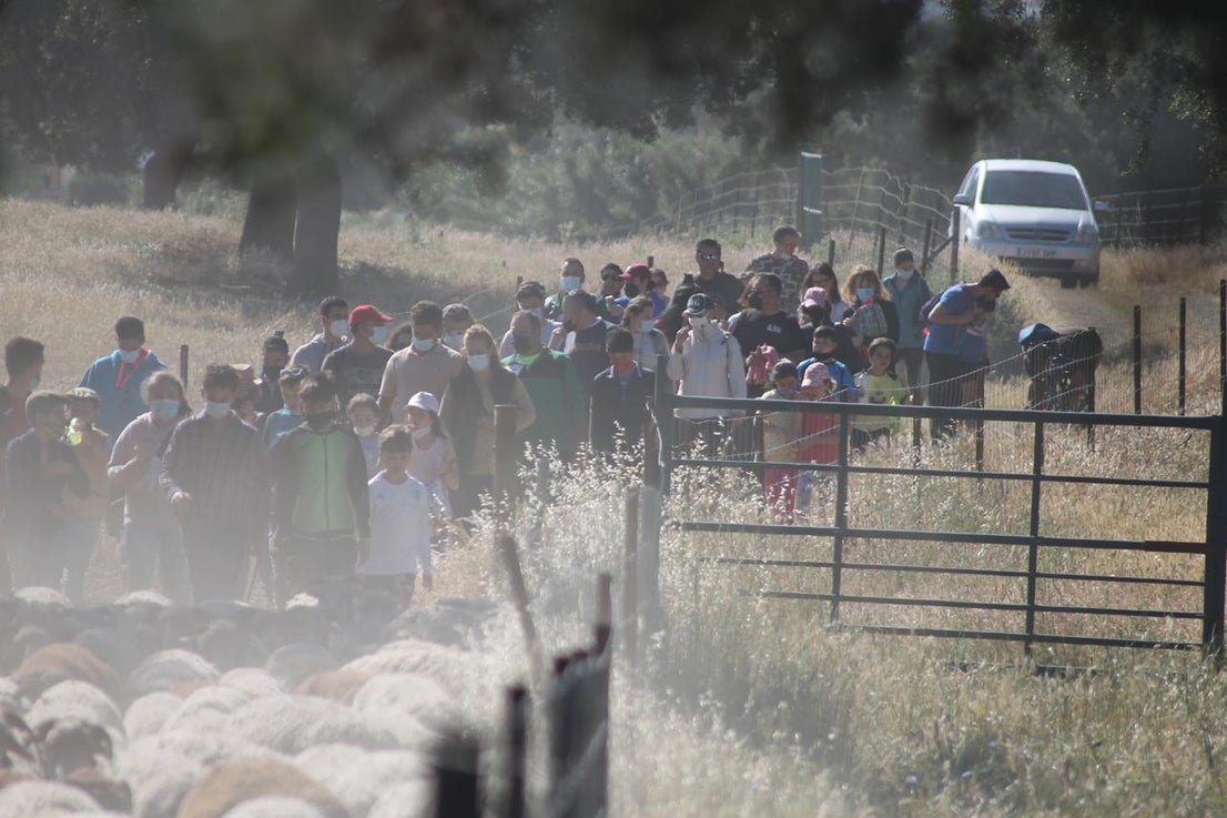 Fotos: X ‘Vive la Trashumancia’ (IV)