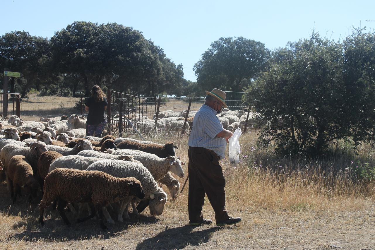 Fotos: X ‘Vive la Trashumancia’ (IV)