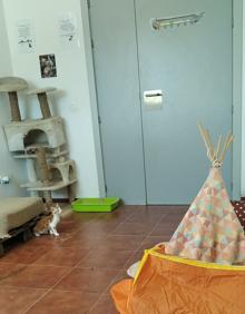 Imagen secundaria 2 - Imágenes del refugio