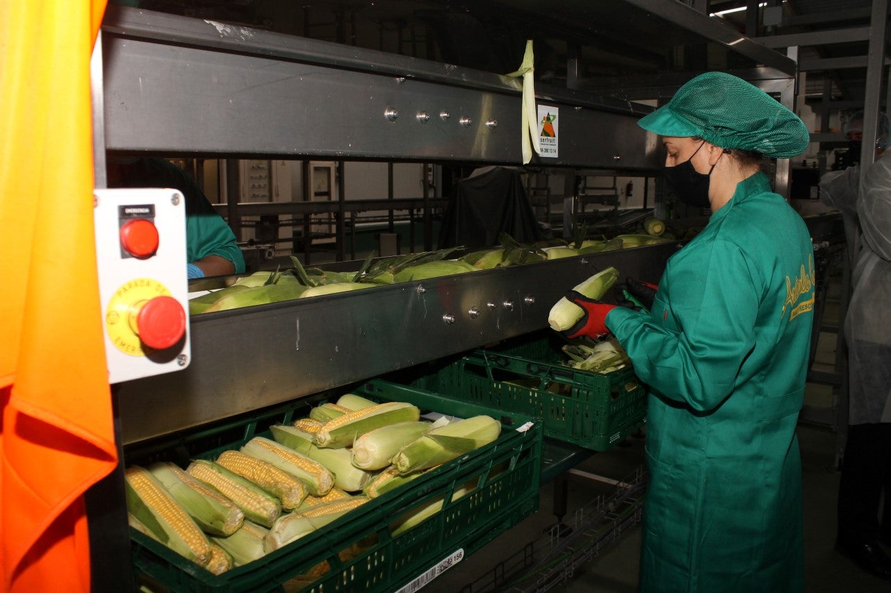 Fotos: Inauguración de Artealca Corn (I)