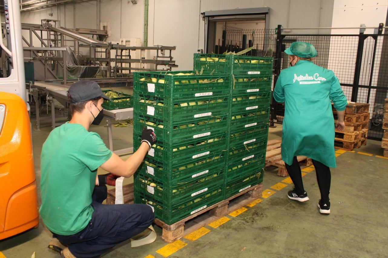 Fotos: Inauguración de Artealca Corn (I)