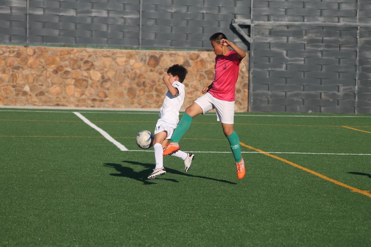 Fotos: Cierre de temporada de la Escuela de Fútbol Base (II)