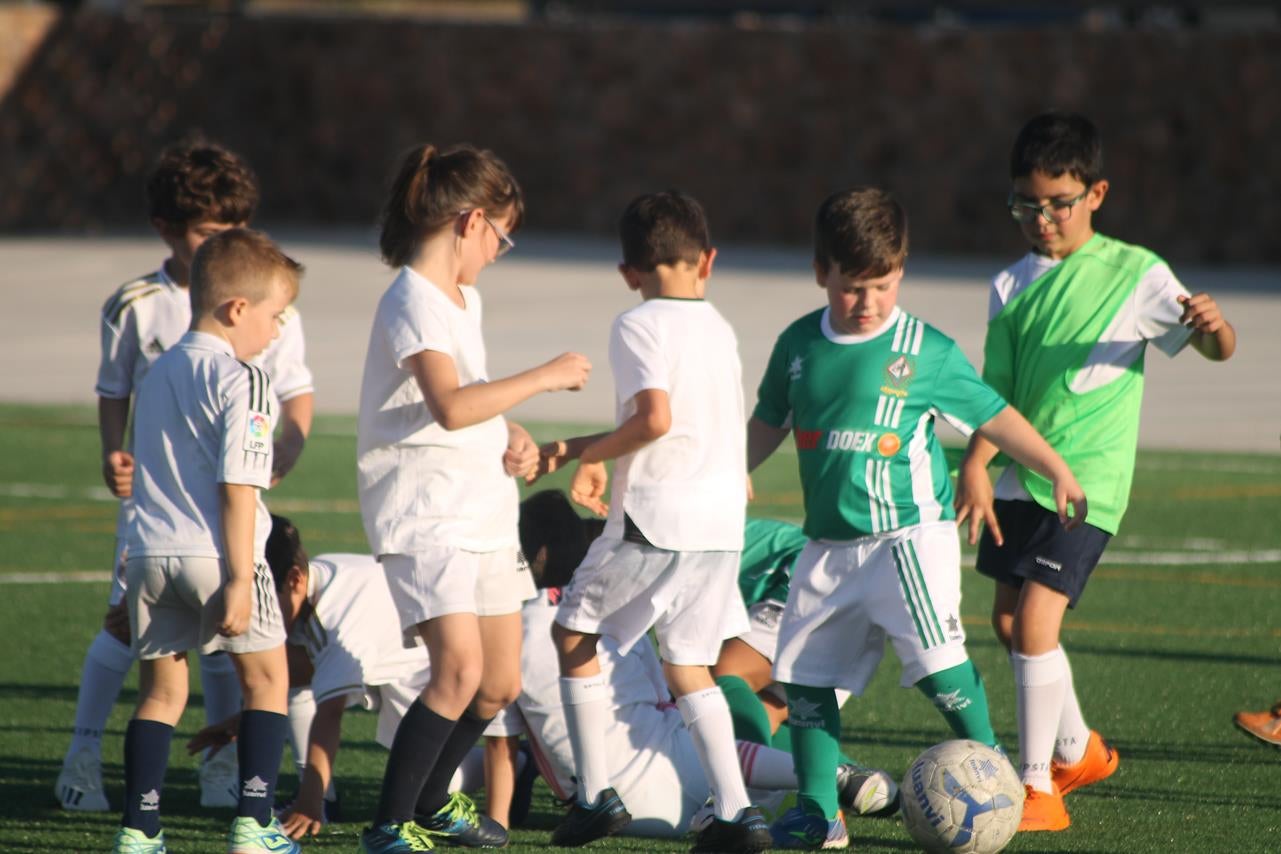 Fotos: Cierre de temporada de la Escuela de Fútbol Base (II)