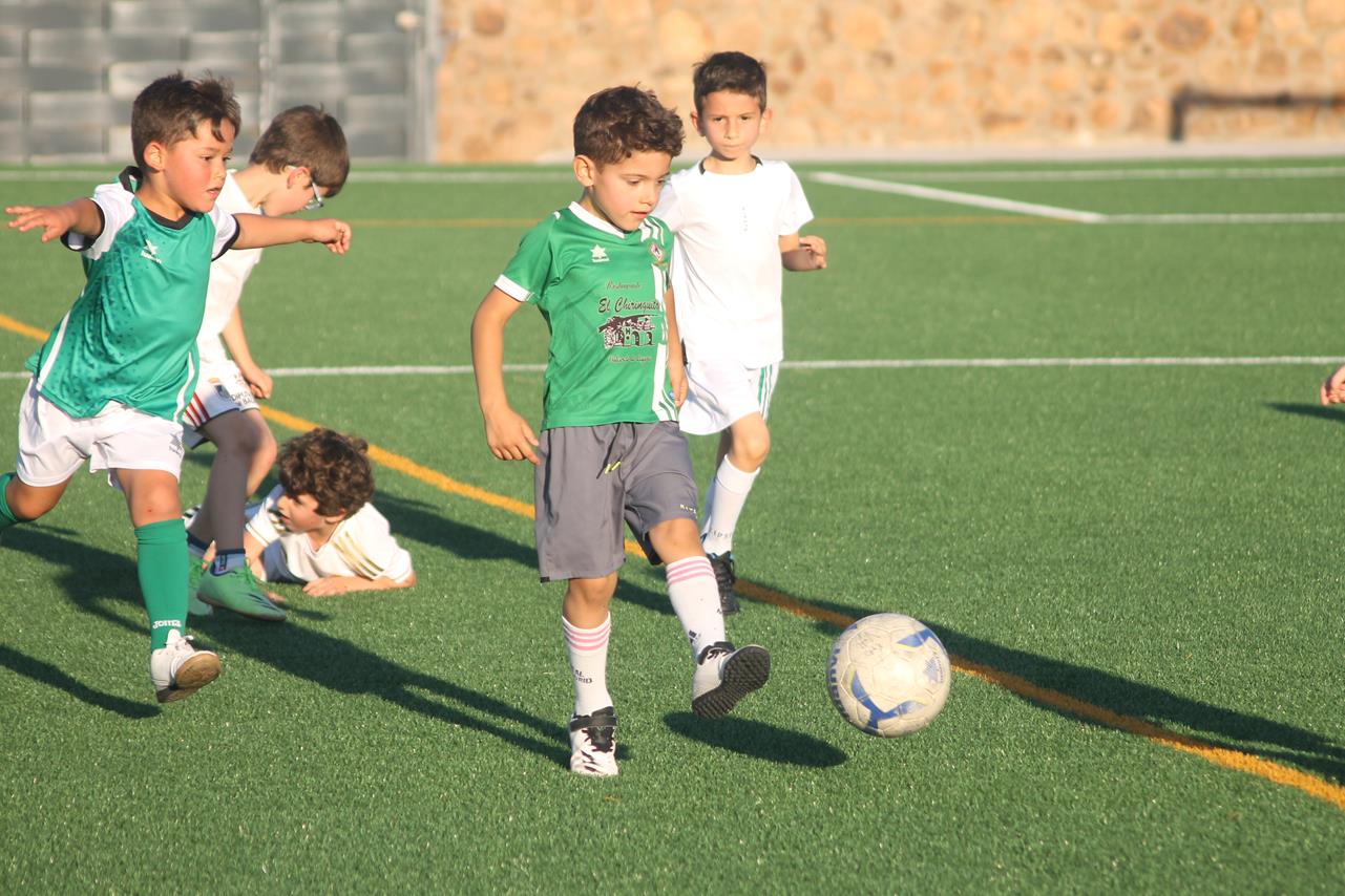 Fotos: Cierre de temporada de la Escuela de Fútbol Base (III)