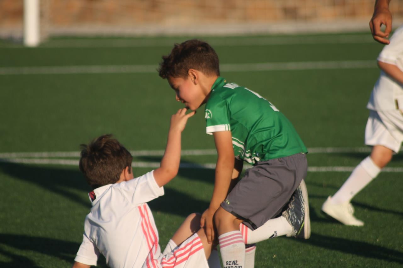 Fotos: Cierre de temporada de la Escuela de Fútbol Base (III)