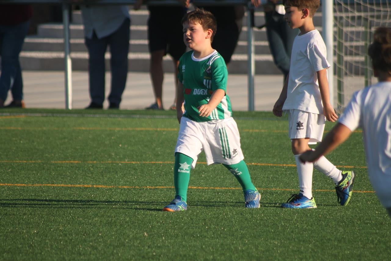 Fotos: Cierre de temporada de la Escuela de Fútbol Base (III)