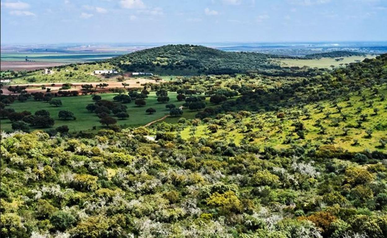 Panorámica de la finca El Rebellao