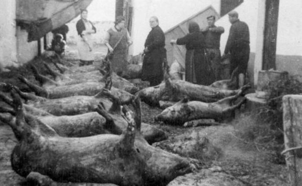 Matanza a mediados del siglo pasado