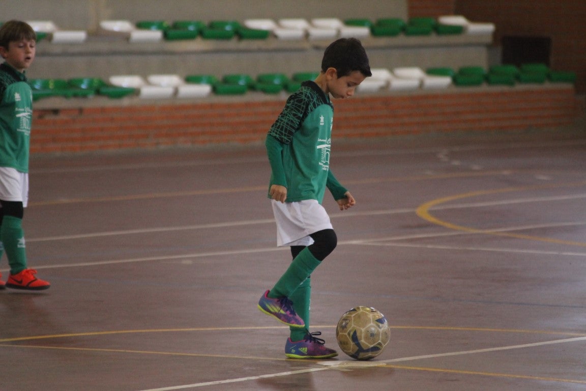 Fotos: Prebenjamines Valverde de Leganés – Don Bosco C