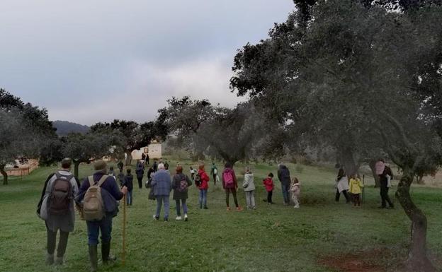 Imagen principal - Imágenes de la actividad