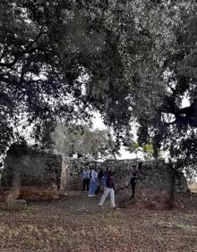 Imagen secundaria 2 - Imágenes de la actividad