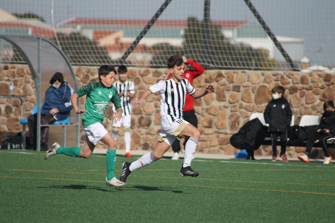 Fotos: Infantiles - CD Badajoz B