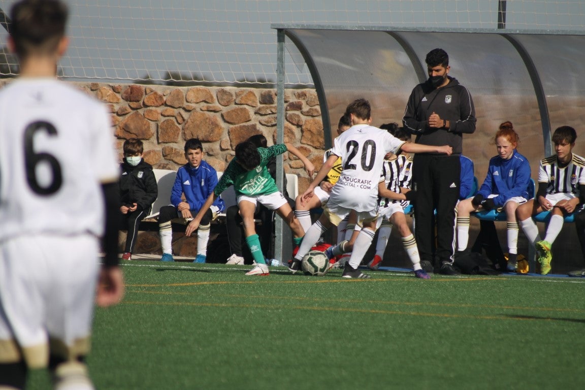 Fotos: Infantiles - CD Badajoz B