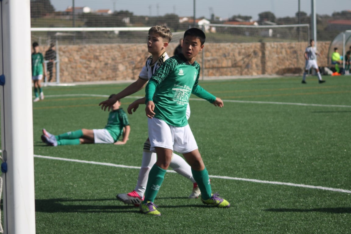 Fotos: Infantiles - CD Badajoz B