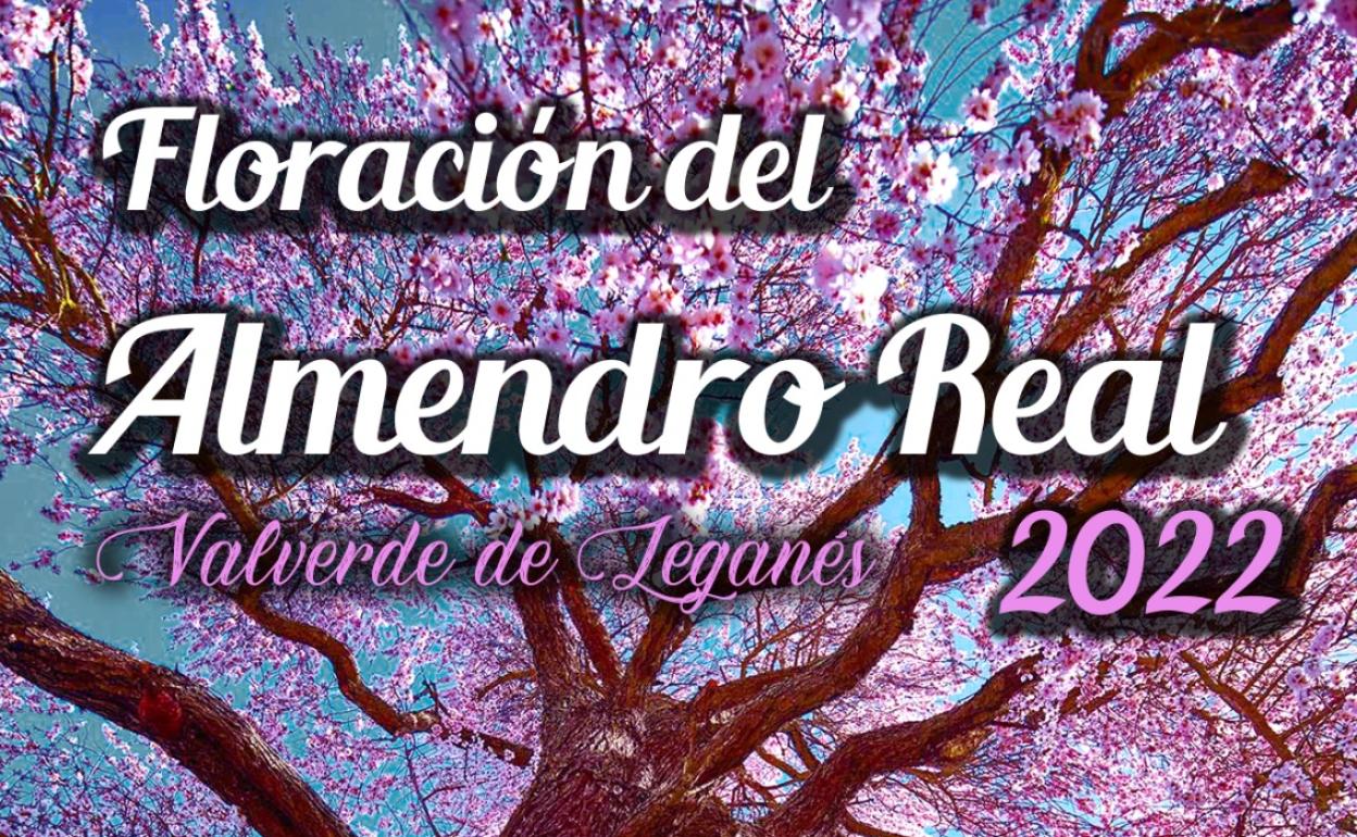 A las 16.00 horas, nueva ruta al Almendro Real
