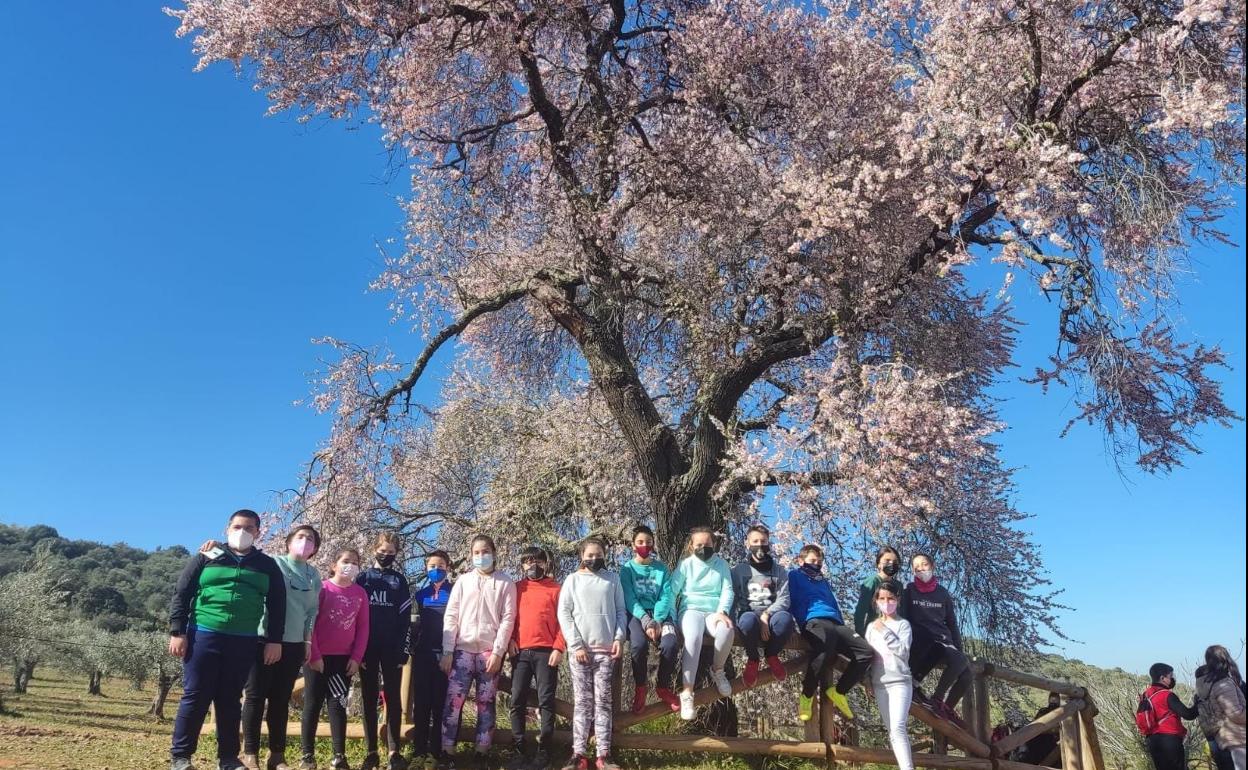 Visita de los escolares