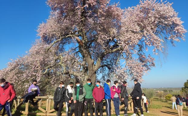 Visita de los escolares