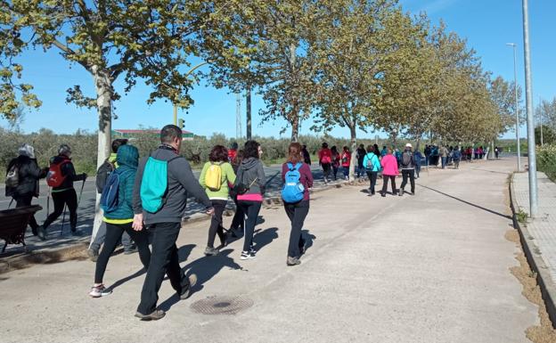 Imagen principal - Algunas imágenes de la II Ruta de las Orquídeas silvestres