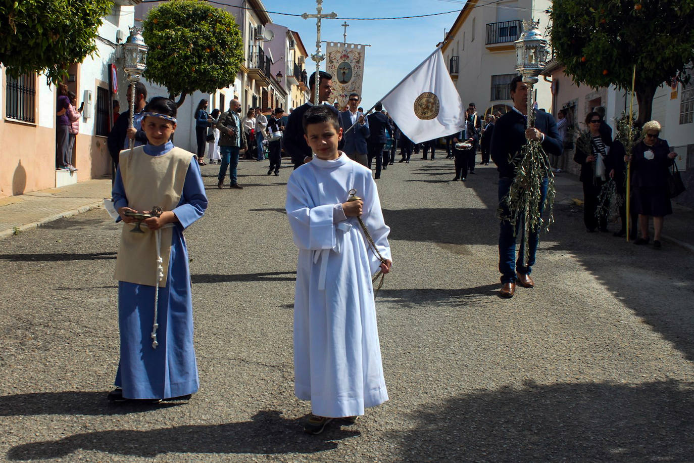 Fotos: Domingo de Ramos