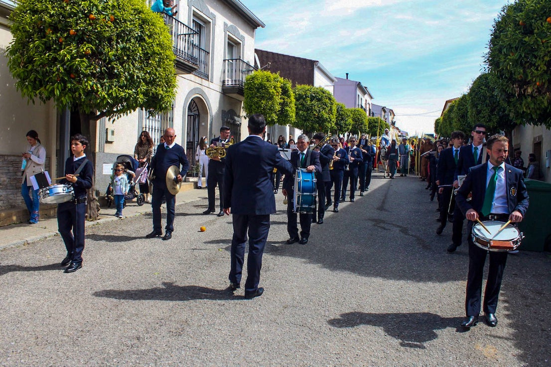 Fotos: Domingo de Ramos