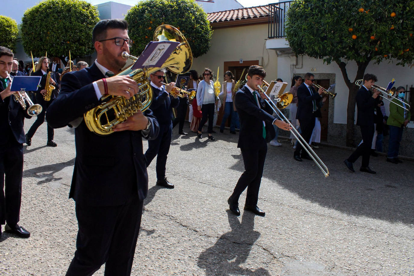 Fotos: Domingo de Ramos
