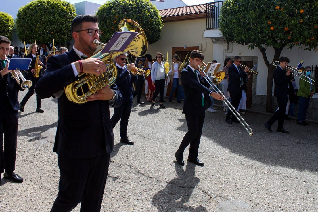 Fotos: Domingo de Ramos