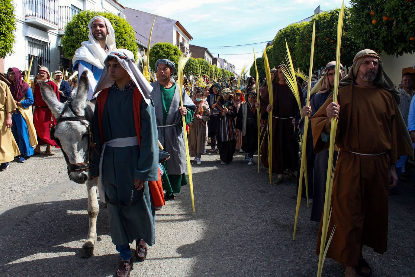 Fotos: Domingo de Ramos