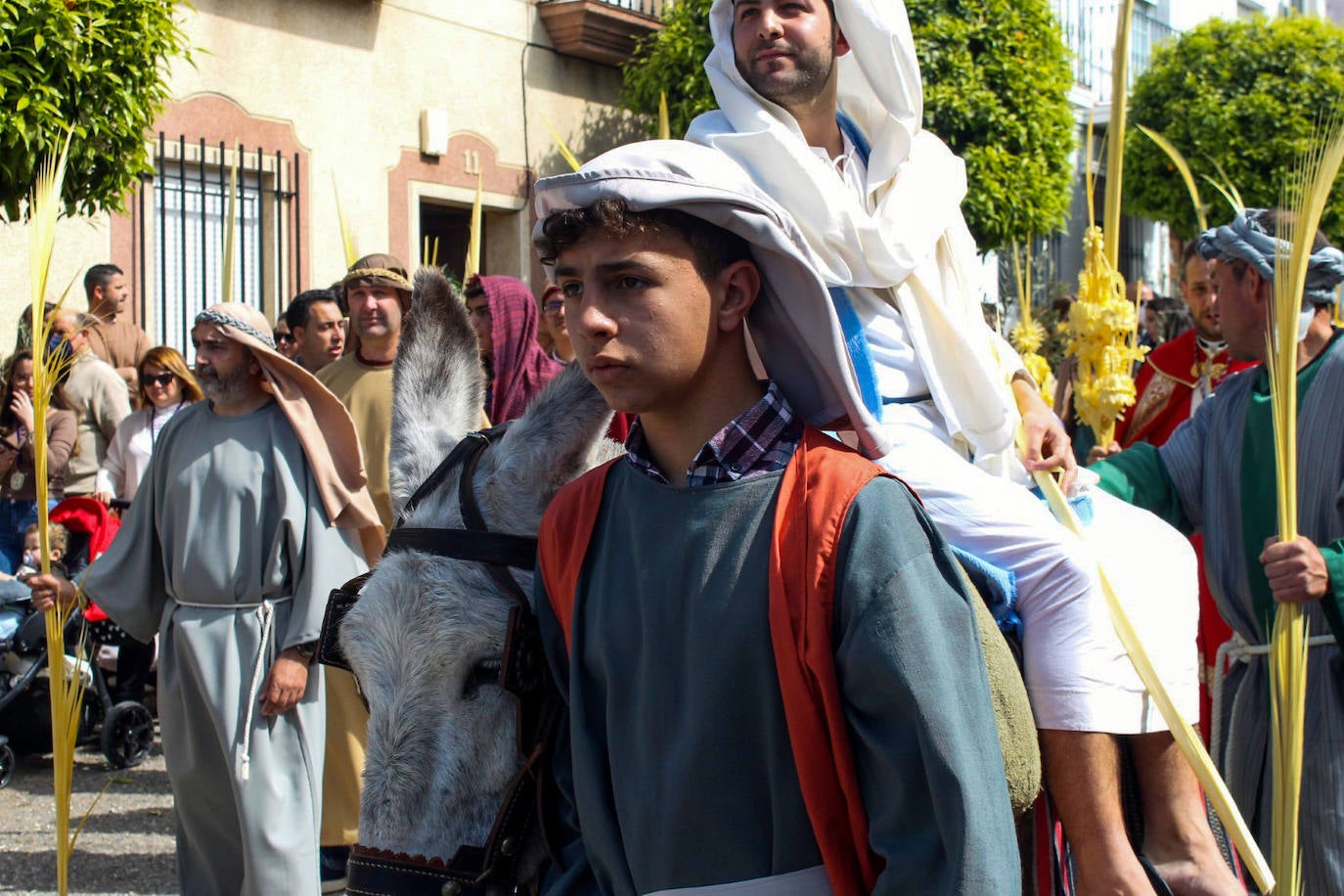Fotos: Domingo de Ramos