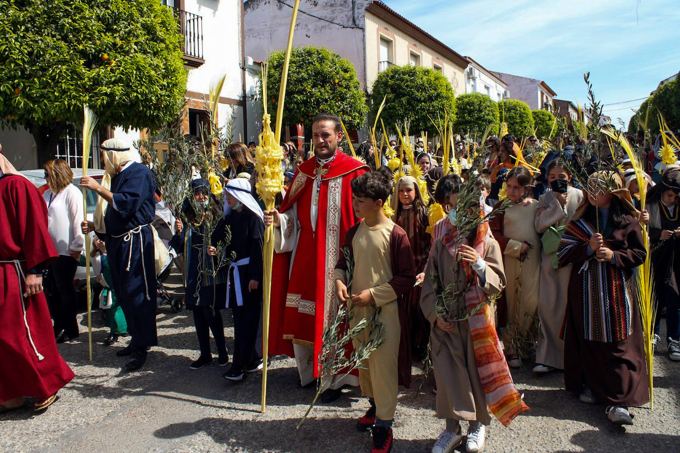 Fotos: Domingo de Ramos