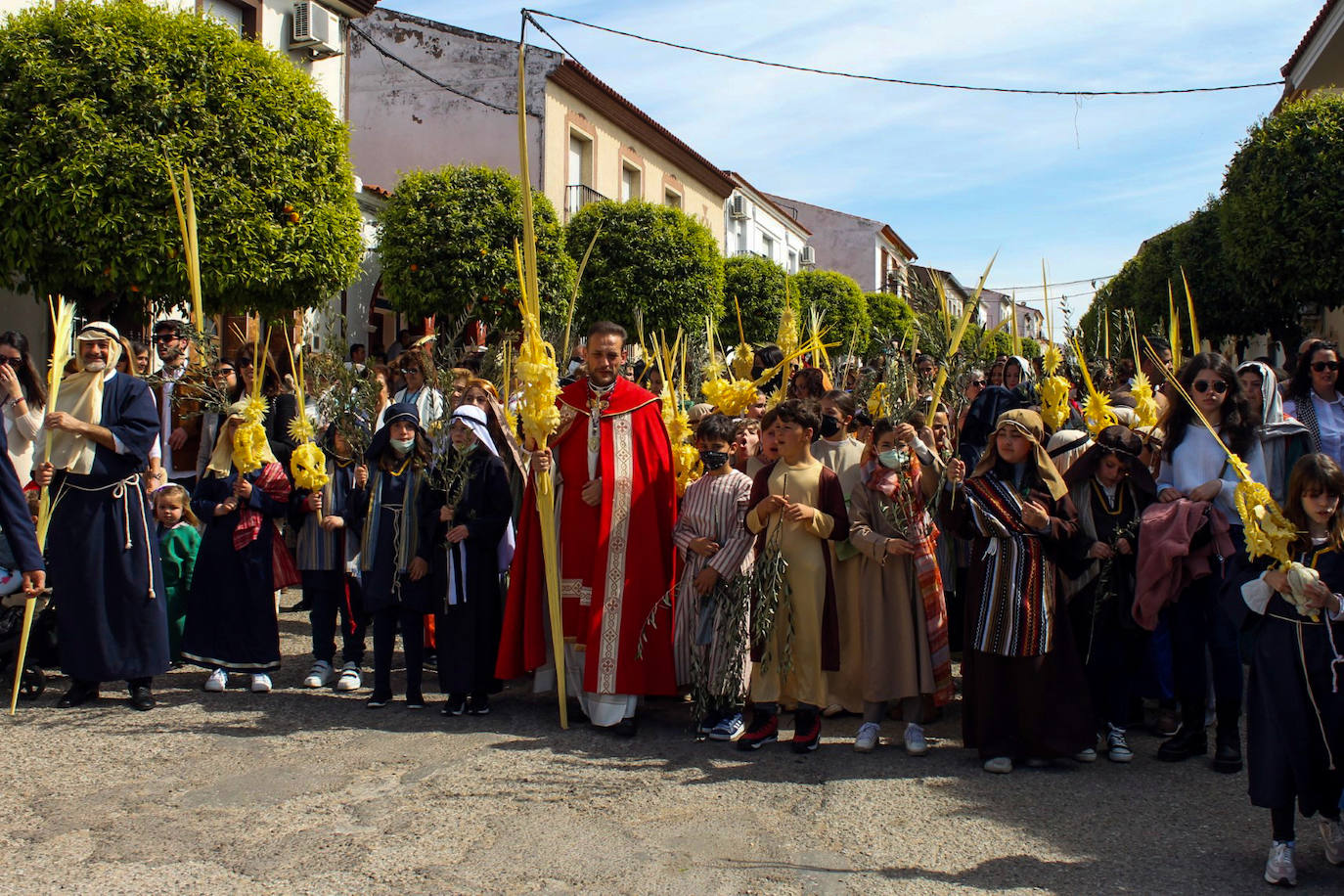 Fotos: Domingo de Ramos