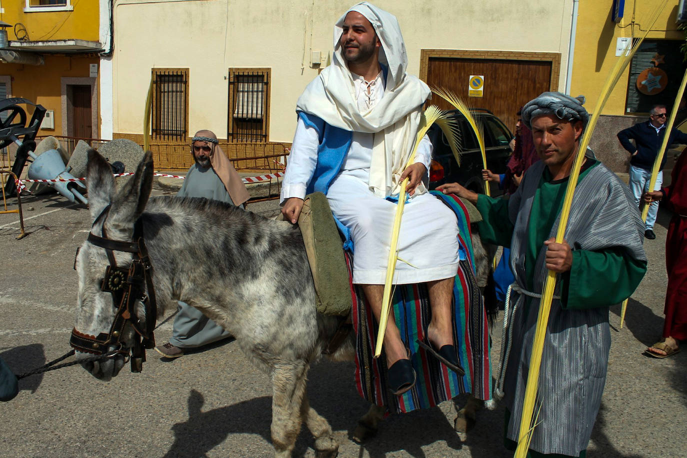 Fotos: Domingo de Ramos