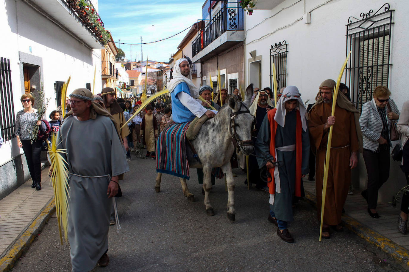 Fotos: Domingo de Ramos