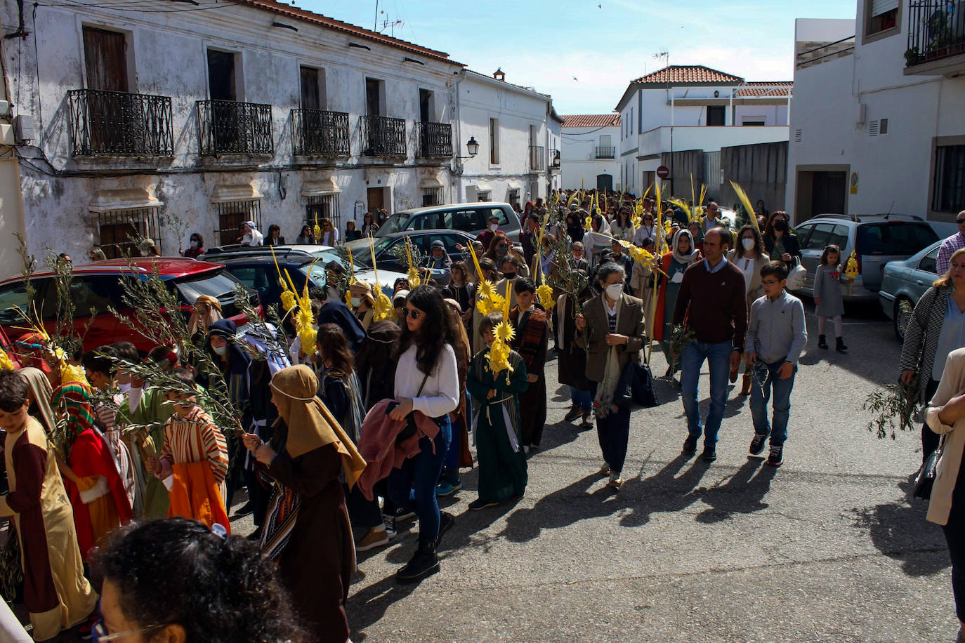 Fotos: Domingo de Ramos