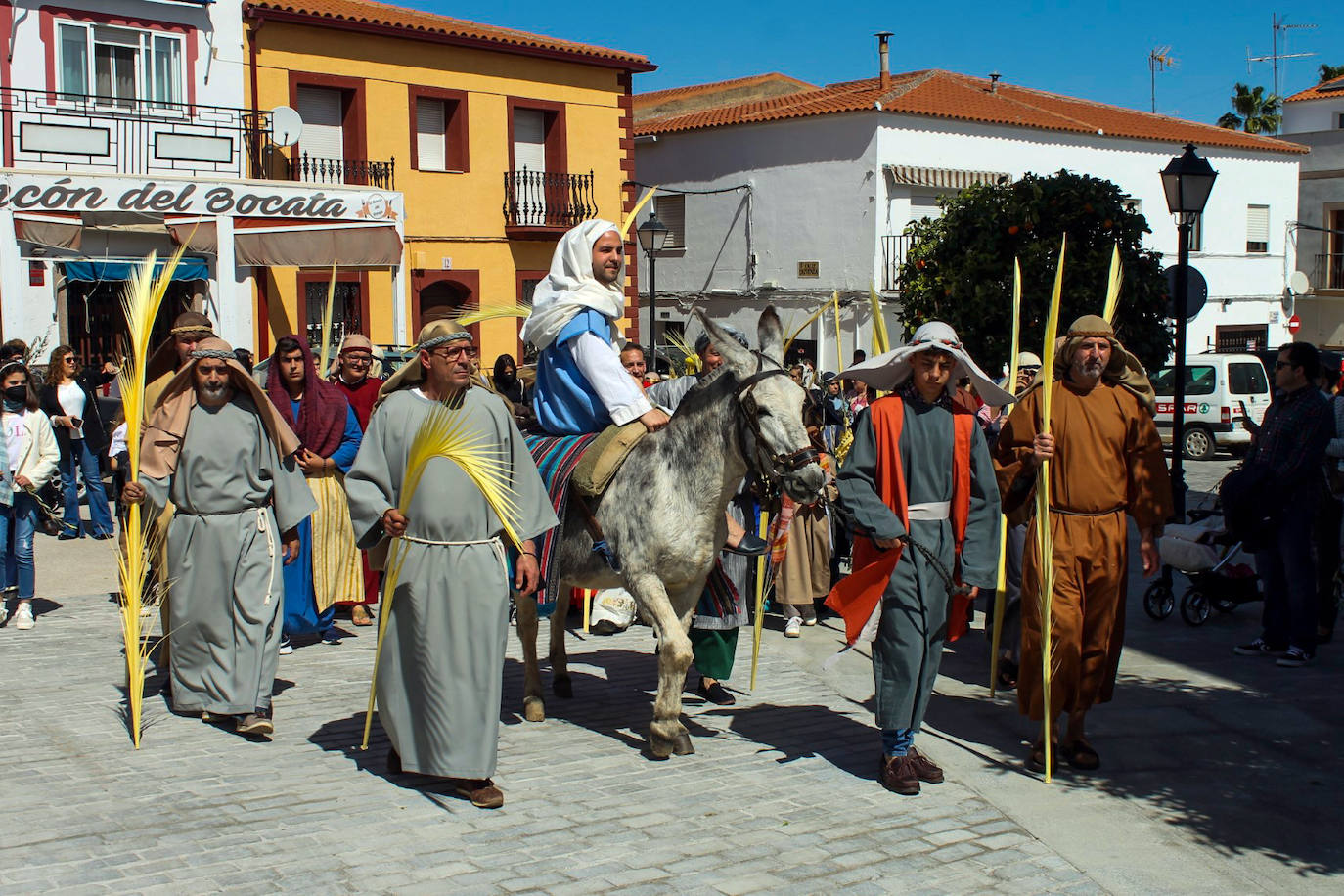 Fotos: Domingo de Ramos