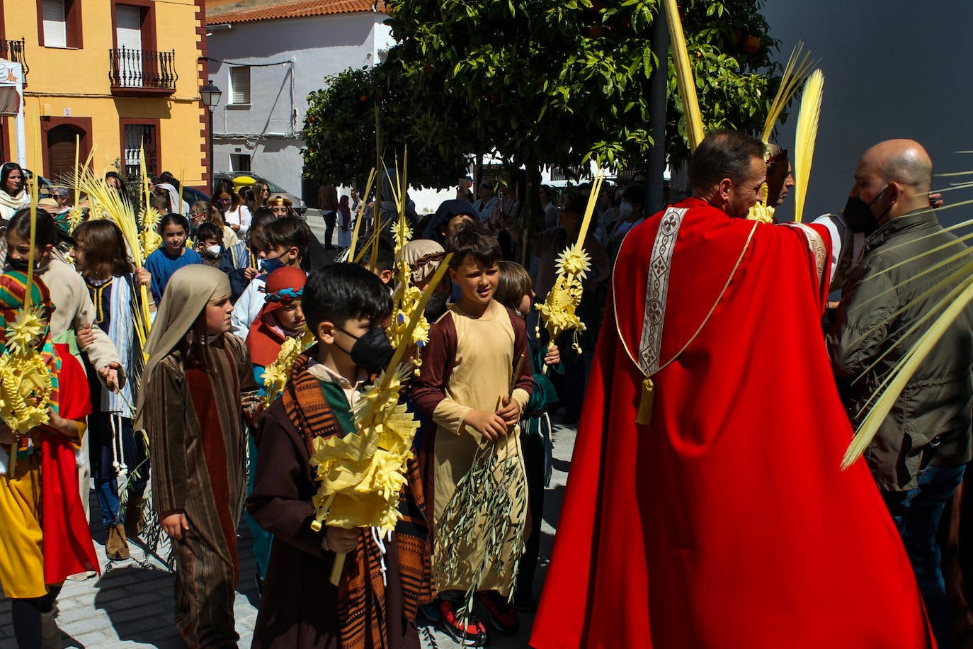 Fotos: Domingo de Ramos