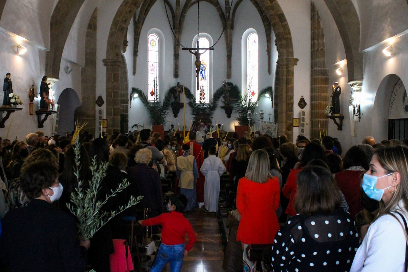 Fotos: Domingo de Ramos