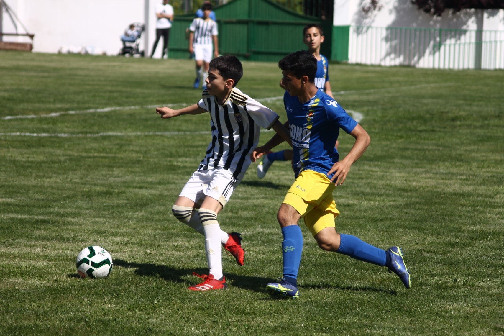 Fotos: I Trofeo Ibérico ‘Villa de Valverde’ (I)