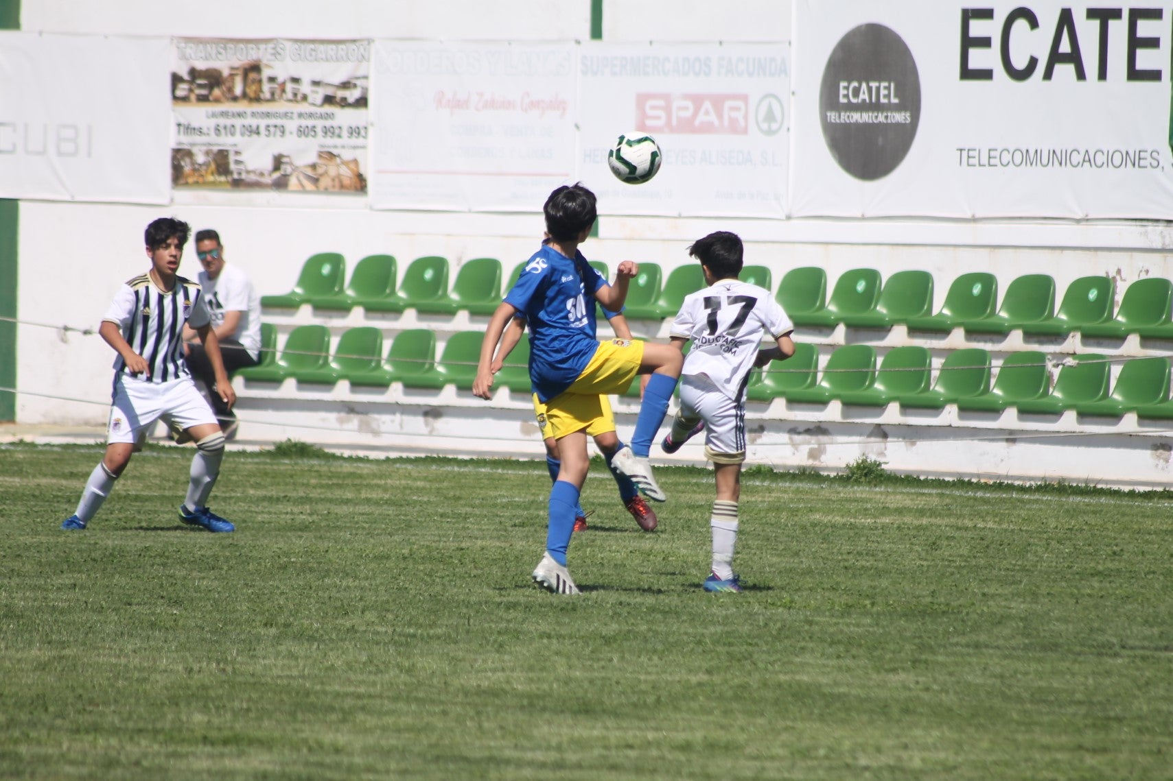 Fotos: I Trofeo Ibérico ‘Villa de Valverde’ (I)