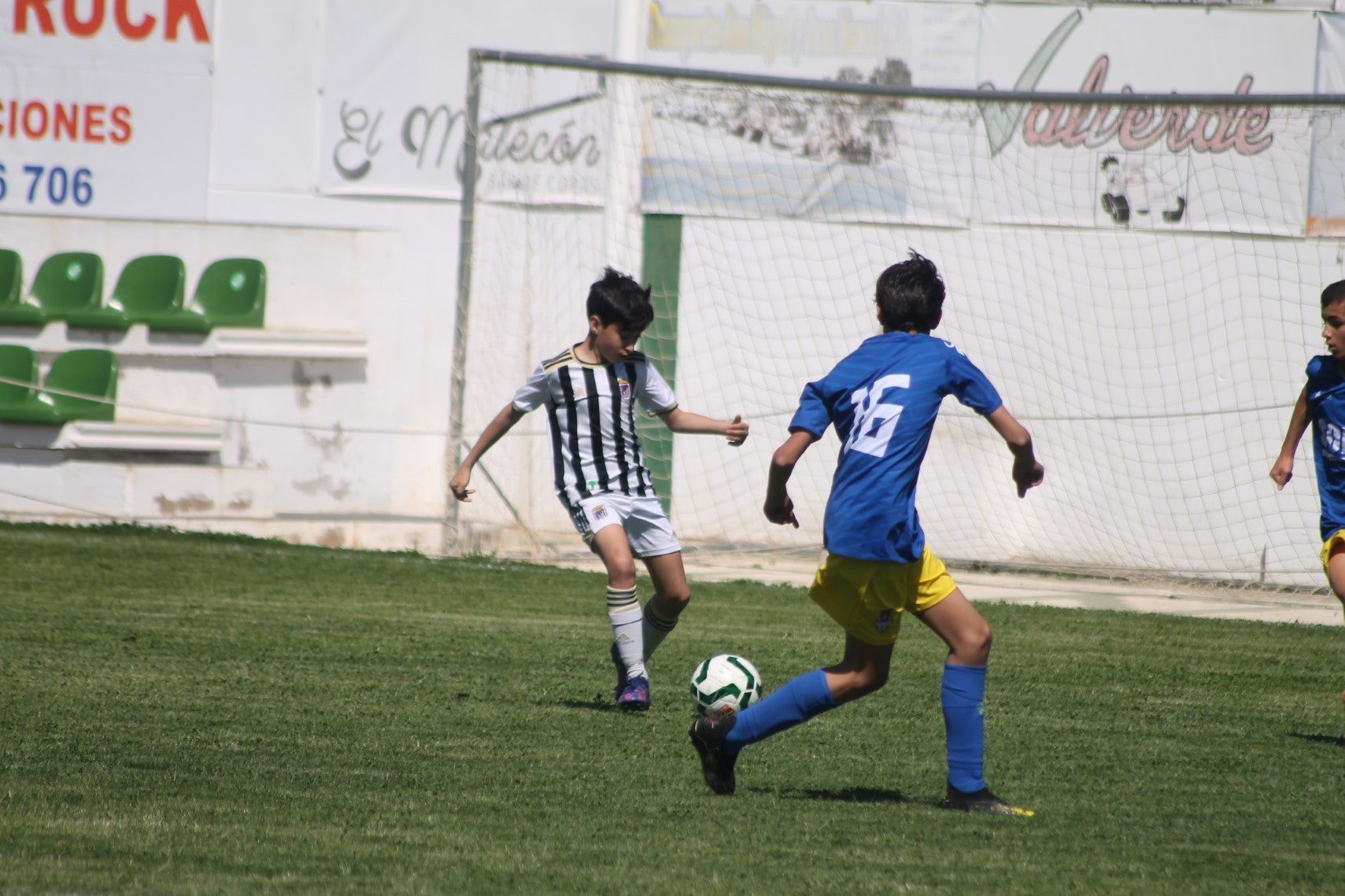 Fotos: I Trofeo Ibérico ‘Villa de Valverde’ (I)